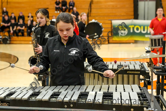 Darkhorse Percussion_260228_Tyrone-03158