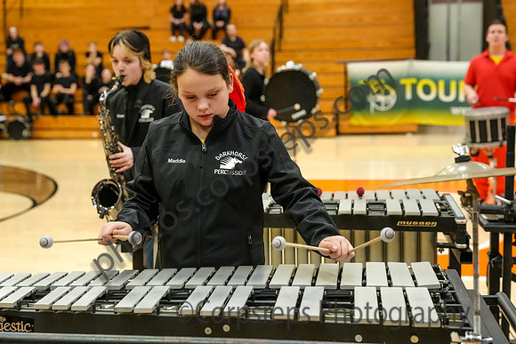 Darkhorse Percussion_260228_Tyrone-03159