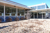 _260228_Tyrone-02806