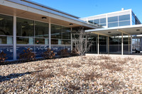 _260228_Tyrone-02807