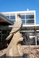 _260228_Tyrone-02811
