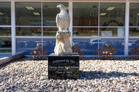 _260228_Tyrone-02805