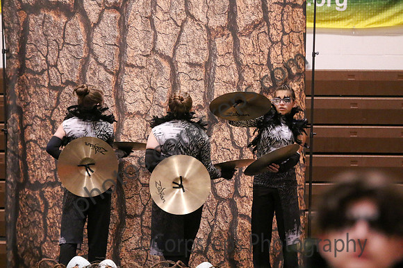 Williamstown Drumline_260307_Cumberland Regional-JSB00593