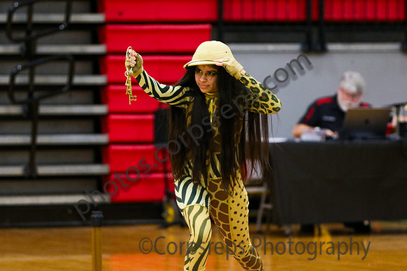 Hicksville_260307_Bridgewater-AL-00037