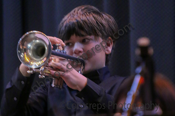 Hillsborough MS Jazz Band_260314_Steinert-JSB00008