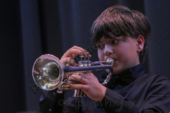 Hillsborough MS Jazz Band_260314_Steinert-JSB00015