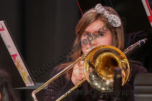 Hillsborough MS Jazz Ensemble_260314_Steinert-JSB00226