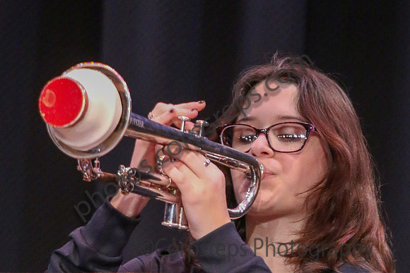Hamilton West Jazz_260314_Steinert-JSB00538