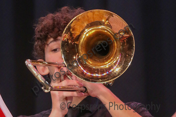 Lenape Valley Regional Jazz_260314_Steinert-JSB00616