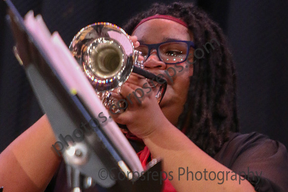 Northern Burlington Jazz_260314_Steinert-JSB00711