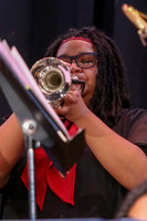 Northern Burlington Jazz_260314_Steinert-JSB00723