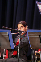 Northern Burlington Jazz_260314_Steinert-JSB00717