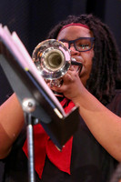 Northern Burlington Jazz_260314_Steinert-JSB00722