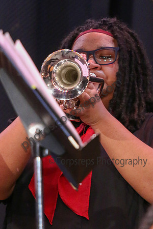 Northern Burlington Jazz_260314_Steinert-JSB00722