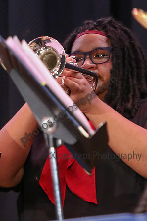 Northern Burlington Jazz_260314_Steinert-JSB00724