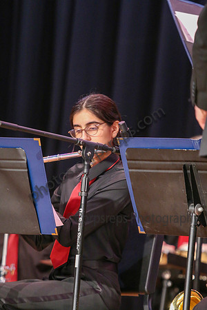 Northern Burlington Jazz_260314_Steinert-JSB00718