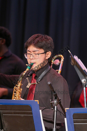Northern Burlington Jazz_260314_Steinert-JSB00721