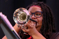 Northern Burlington Jazz_260314_Steinert-JSB00735