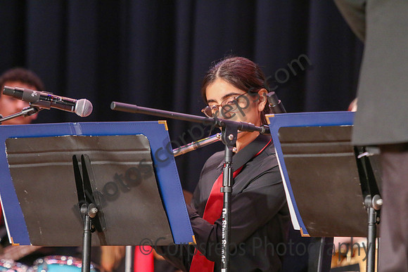 Northern Burlington Jazz_260314_Steinert-JSB00732
