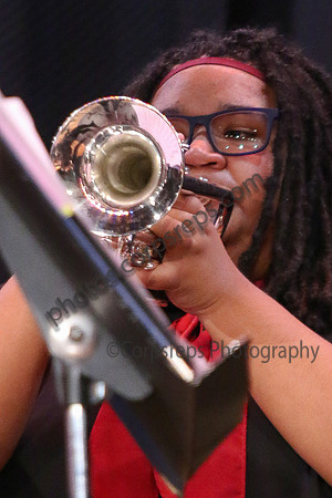 Northern Burlington Jazz_260314_Steinert-JSB00750