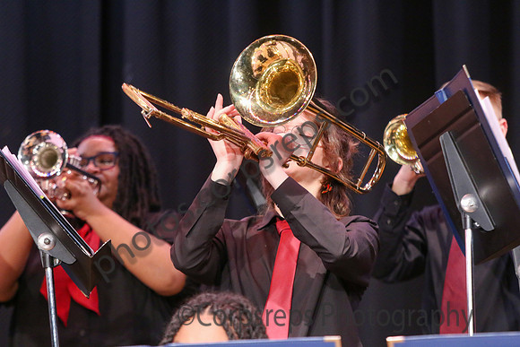 Northern Burlington Jazz_260314_Steinert-JSB00743