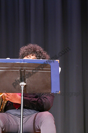Northern Burlington Jazz_260314_Steinert-JSB00746