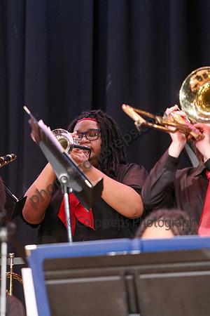 Northern Burlington Jazz_260314_Steinert-JSB00748