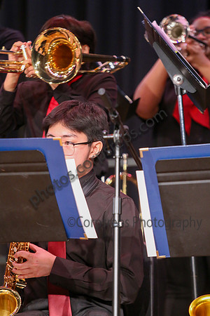 Northern Burlington Jazz_260314_Steinert-JSB00747