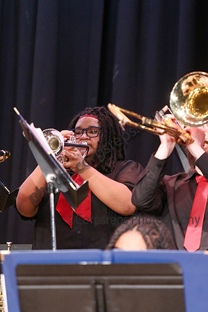 Northern Burlington Jazz_260314_Steinert-JSB00758