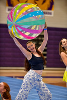 High Voltage Senior