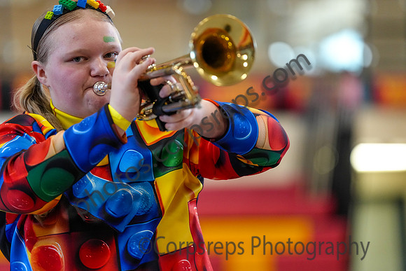 Cumberland Regional Winds_260314_Penncrest-01138