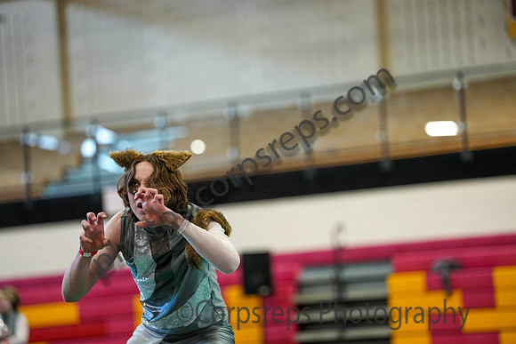 Radnor Guard_260314_Penncrest-01898