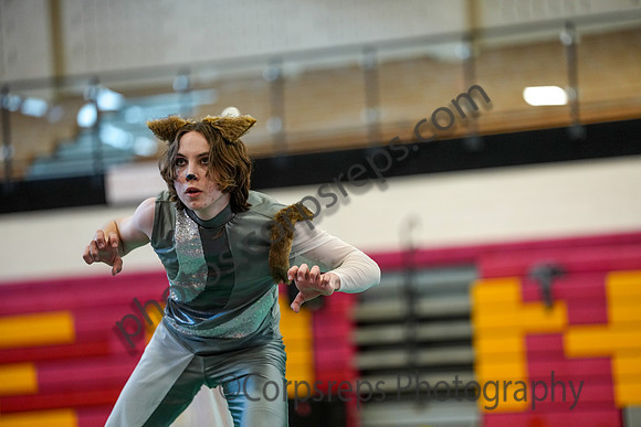 Radnor Guard_260314_Penncrest-01899