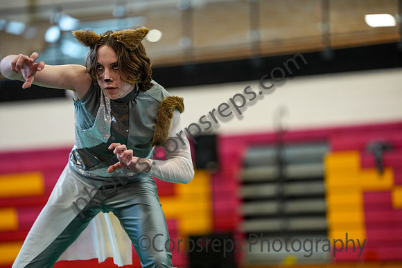 Radnor Guard_260314_Penncrest-01900