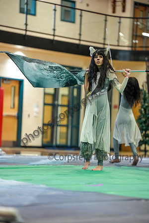 Radnor Guard_260314_Penncrest-01939