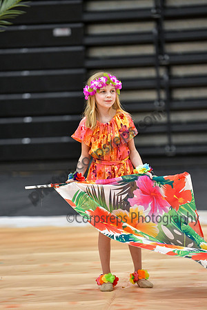 Pegasus Too Jr Guard_260314_Hatboro-Horsham-DJK00094