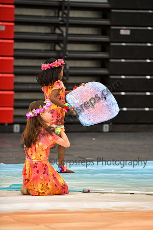 Pegasus Too Jr Guard_260314_Hatboro-Horsham-DJK00104