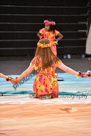 Pegasus Too Jr Guard_260314_Hatboro-Horsham-DJK00107