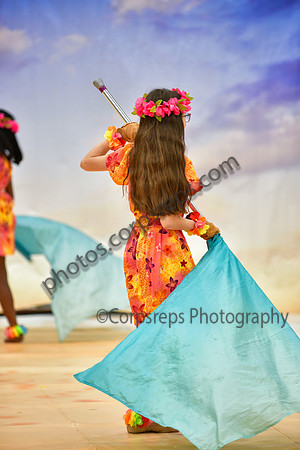 Pegasus Too Jr Guard_260314_Hatboro-Horsham-DJK00123