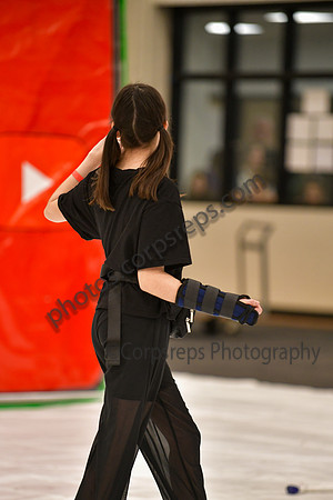 Upper Dublin HS Guard_260314_Hatboro-Horsham-DJK00222