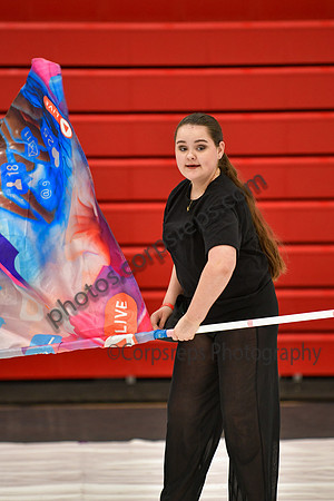 Upper Dublin HS Guard_260314_Hatboro-Horsham-DJK00229
