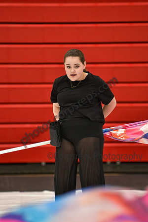 Upper Dublin HS Guard_260314_Hatboro-Horsham-DJK00230