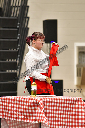 Burlington City HS Guard_260314_Hatboro-Horsham-DJK00298