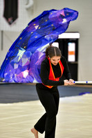 Harry S. Truman HS Guard_260314_Hatboro-Horsham-DJK00362