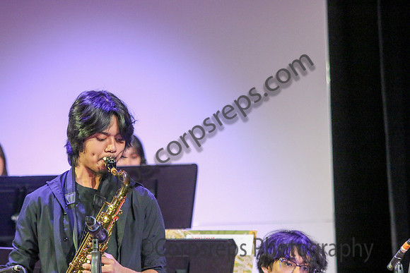 New Brunswick Jazz_260320_Somerville-JSB00190