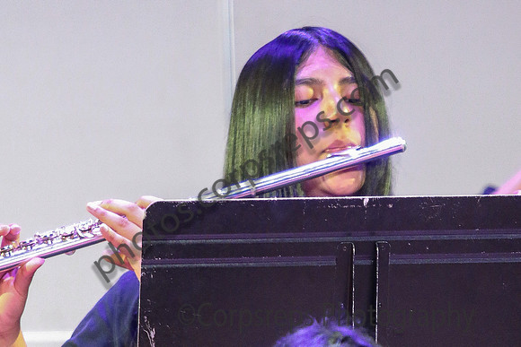 New Brunswick Jazz_260320_Somerville-JSB00199