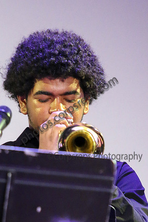 New Brunswick Jazz_260320_Somerville-JSB00203