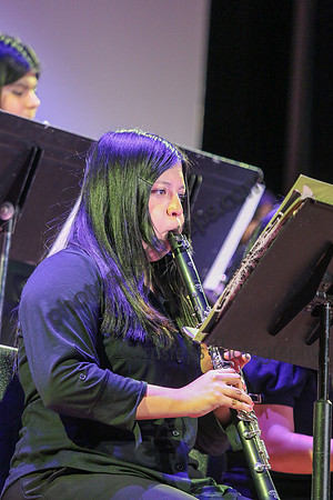 New Brunswick Jazz_260320_Somerville-JSB00212