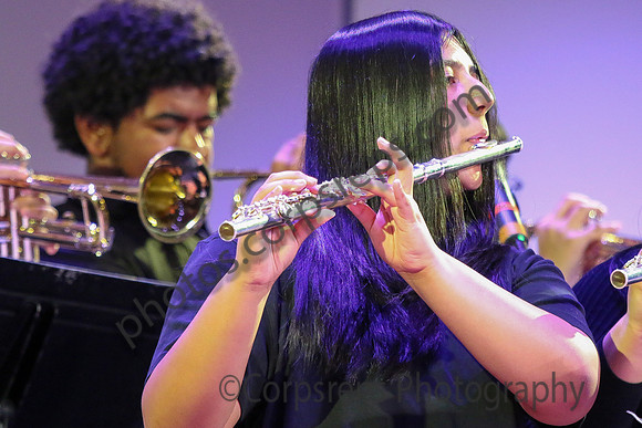 New Brunswick Jazz_260320_Somerville-JSB00229