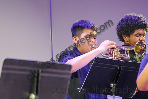 New Brunswick Jazz_260320_Somerville-JSB00227